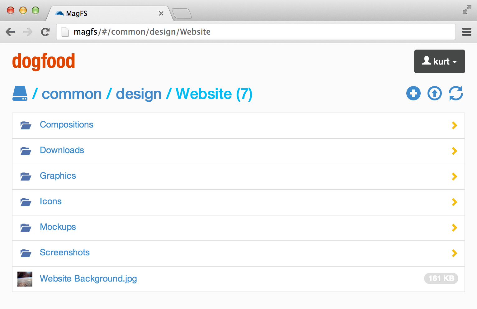 Maginatics Web Client Screenshot Dogfood
