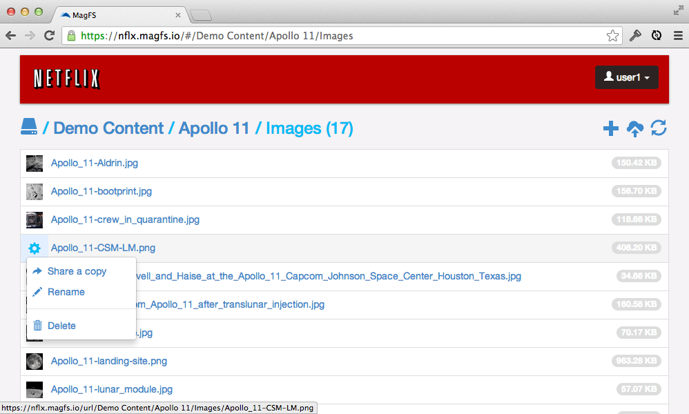 Maginatics Web Client Screenshot Netflix